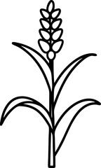 Fototapeta premium Corn plant outline with leaves and cob, agricultural crop silhouette illustration