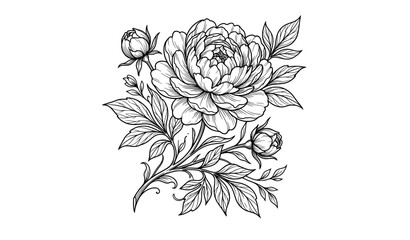 Black and white line drawing of a peony flower bouquet with leaves and buds © aliful