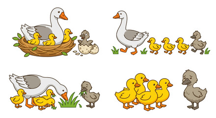 goose and ducklings illustrations with nest hatching and walking © rita
