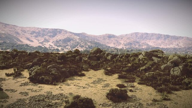 Wide scrubby foothills under hazy mountains, soft vignette and warm tonal haze, scattered boulders and low scrub, winding erosion patterns, distant layered