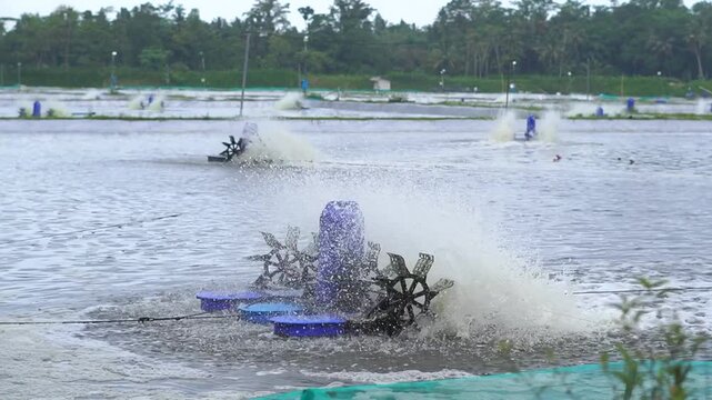 A pond wheel pump or paddle wheel aerator is a mechanical device used to increase dissolved oxygen (DO) levels and create water flow in fish or vaname shrimp cultivation ponds.