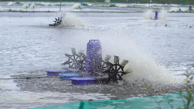 Pond wheel pump or paddle wheel aerator that rotates to circulate water in the pond or fishpond