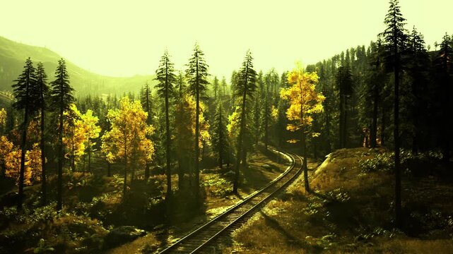 Rusty rail cutting through autumnal alaskan woods, golden birch pockets amid tall pines, logging route suggestion, rugged outdoor industry vibe