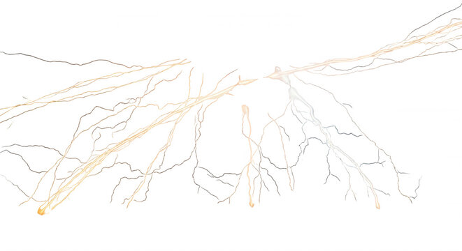 Thin, branching white and pale yellow electrical lightning streaks isolated against a solid black background, resembling nervous system dendrites