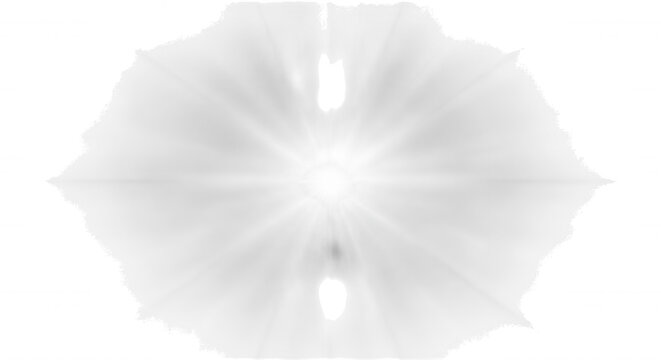 A bright central light source radiating beams against a dark, textured, organic-shaped background, with two floating, black droplet silhouettes