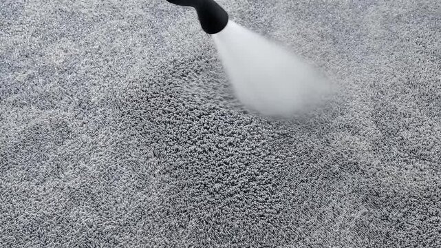 Steam cleaner spraying a plush carpet for deep cleaning.