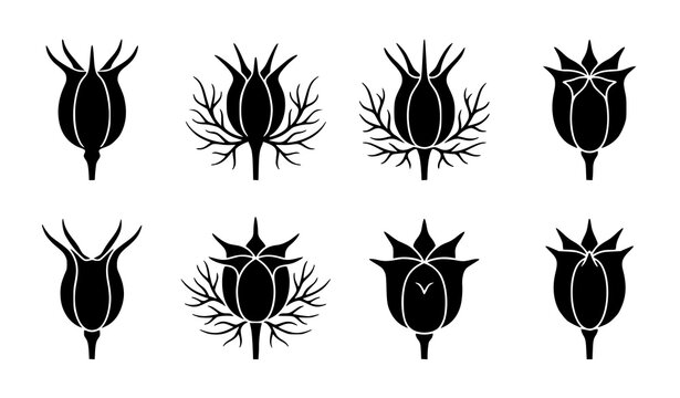 Nigella sativa and poppy seed pod silhouette vector set with abstract flower buds and botanical elements for organic cosmetics branding logo design