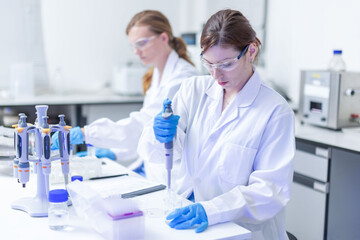 Fototapeta premium Scientist uses pipette to transfer liquid in laboratory during research on biological samples