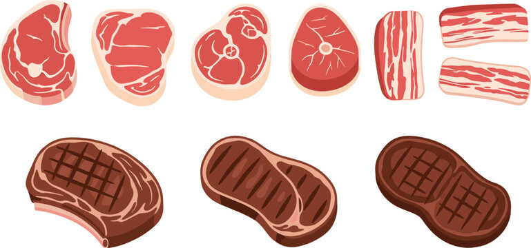 Flat vector illustration collection of raw and grilled meat cuts including beef steak bacon strips pork loin chops and juicy barbecue fillets isolated on transparent background