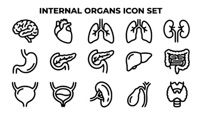Internal organs line icons set anatomy medical illustration healthcare graphics © Najma