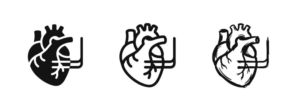 Anatomical human heart icon set in solid, outline, and hand-drawn doodle styles for medical and cardiology design.