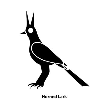 Horned lark bird standing and flying in clear sky silhouette outline isolated on transparent background, Vector