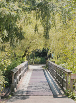 Fishtrap Creek Park during a spring season in Abbotsford, British Columbia, Canada