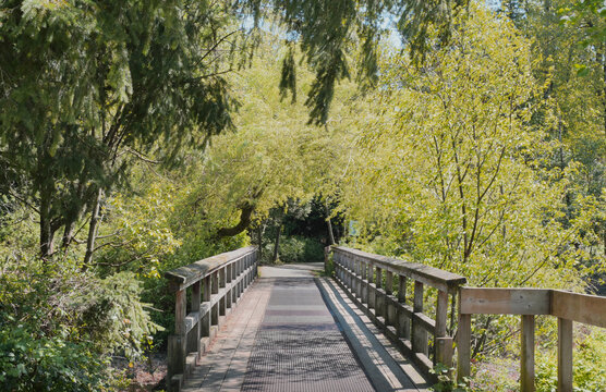 Fishtrap Creek Park during a spring season in Abbotsford, British Columbia, Canada