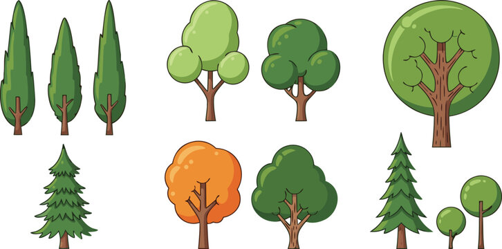 Cartoon tree vector illustration set featuring pine evergreen and deciduous trees isolated nature landscape collection