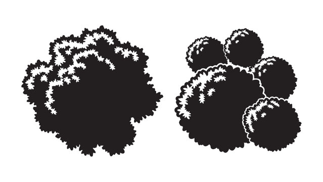 Abstract Black and White Mathematical Fractal Shape Vectors