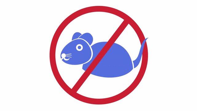 Pest control extermination symbol with a minimalist stop rodents warning icon cartoon animation isolated on an alpha channel for sanitary regulation and hantavirus prevention element concept.