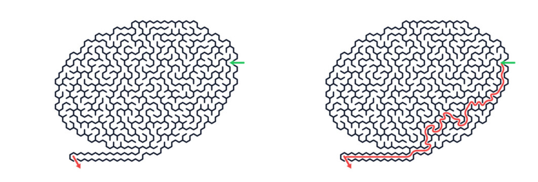 Brain maze illustration showing path from start to finish  