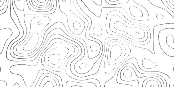 Topographic canyon geometric map relief texture with curved layers and shadow. abstract White background with a beautiful pattern, Topographic contour lines vector map seamless pattern vector.