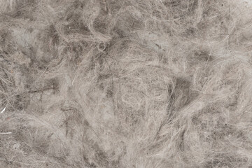 Fototapeta premium pile of garbage texture background. сontents vacuum cleaner garbage, trash, dust. close-up.