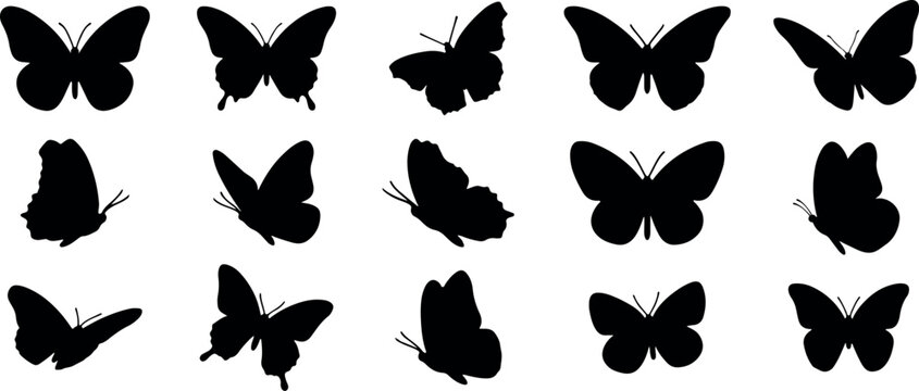 Butterfly silhouette vector set isolated on white background