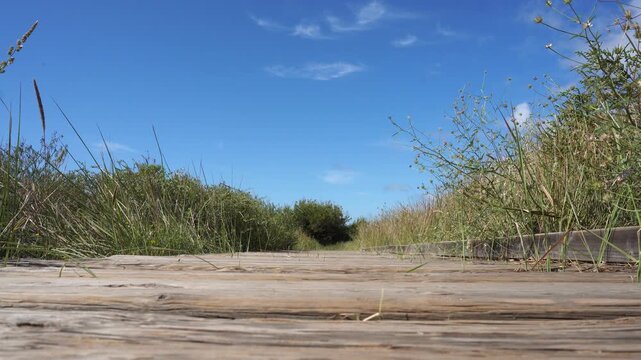 Playa Cablanque 6
