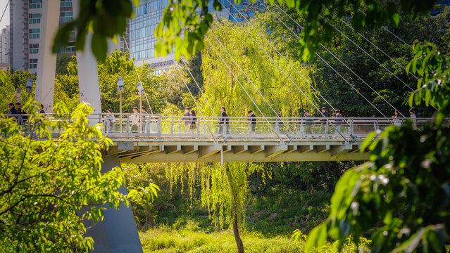 Busy commuters walking through a green urban park in Pangyo Techno Valley (Modern office workers in a lush green office district, a sustainable urban environment in spring)