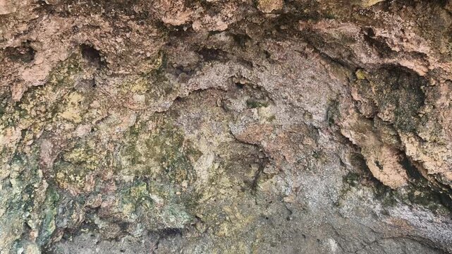 Natural coral rock cave on a sandy beach with a rough texture and green moss patches