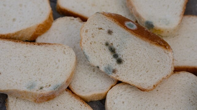 Pile of slices of white bread with spots of green and black mold.