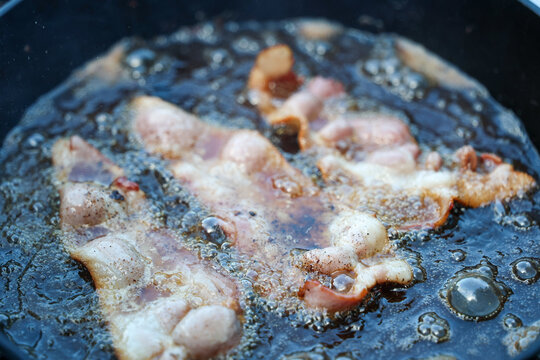 Fresh bacon sizzling in grease and oil on a cast iron skillet. The pan is hot and the pork is delicious. Great for breakfast, lunch, and dinner the tasty treat is loaded with fat, generally unhealthy.