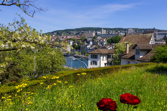 Zurich cityscape from Lindenhof hill overlooking Limmat river