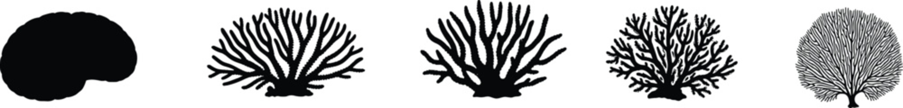 Coral silhouettes collection. Sea Coral graphics for scuba diving school emblem templates. Branched Coral shapes for environmental ocean conservation posters.