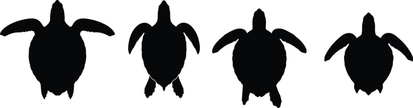 Loggerhead turtle silhouettes collection. Green sea turtle graphics for ocean protection stickers. Swimming sea turtle shapes for tropical diving school branding.