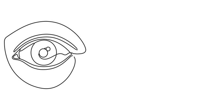 Animation of line drawing of an eye symbolizing awareness and vigilance in protecting human rights.
