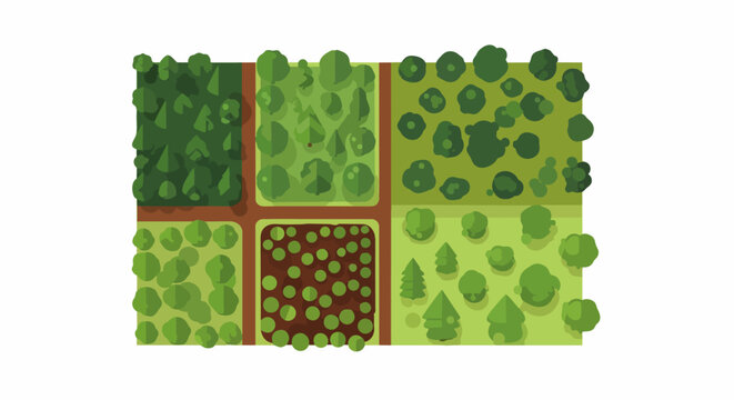 Top Down Flat Vector Illustration of Diverse Forest Plots, Managed Plantations, and Green Wooded Areas for Environmental and Land Use Concepts