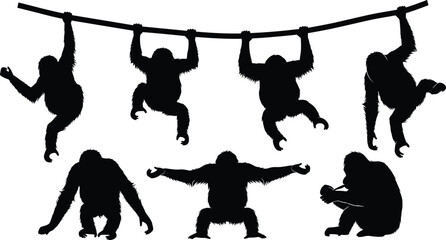 Orangutan vector silhouettes collection. Orangutan icons for jungle, wildlife, and educational projects. Creative Orangutan shapes for animal, nature, and safari illustrations. © Olivia