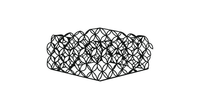 Geometric pattern forms a complex three dimensional structure composed of interlocking circles.