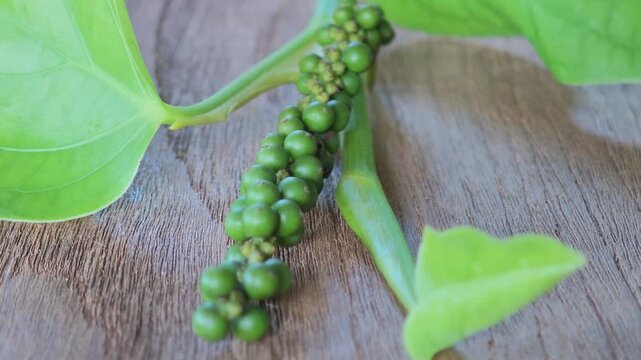 Fresh peppercorns and fresh leaves.