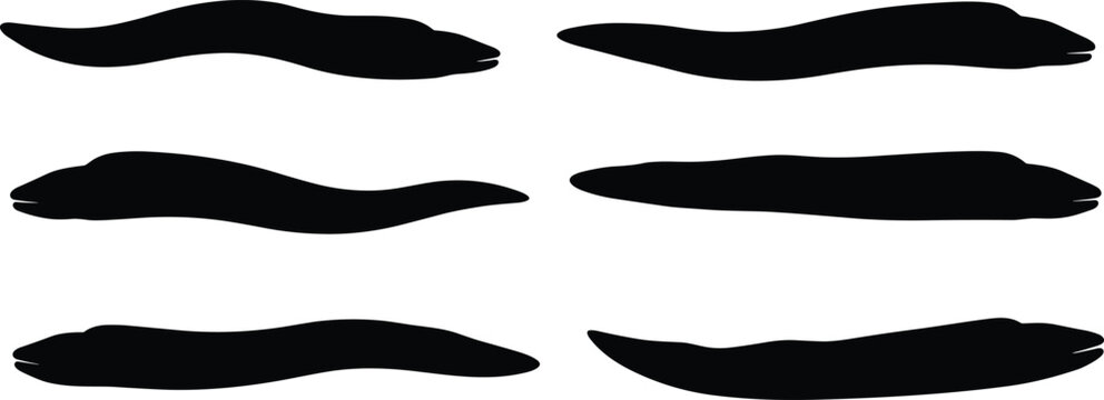 Manta Eel silhouettes collection. Marine Manta Eel vector graphics for oceanographic research diagrams. Slithering Manta Eel shapes for deep sea wildlife education posters.