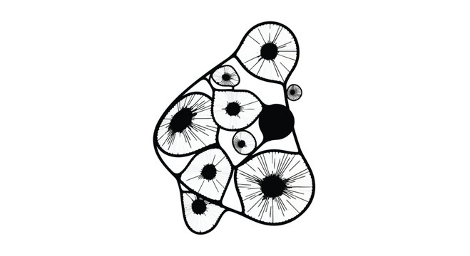 Cells exhibit complex biological structures with internal nuclei and radiating patterns.