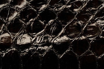 Dark exotic reptile leather texture with glossy python scales for luxury fashion background © reddish
