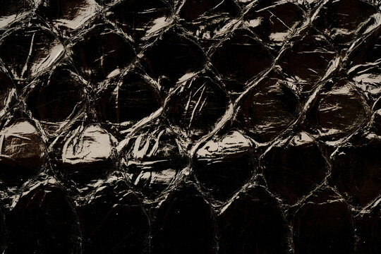 Dark exotic reptile leather texture with glossy python scales for luxury fashion background