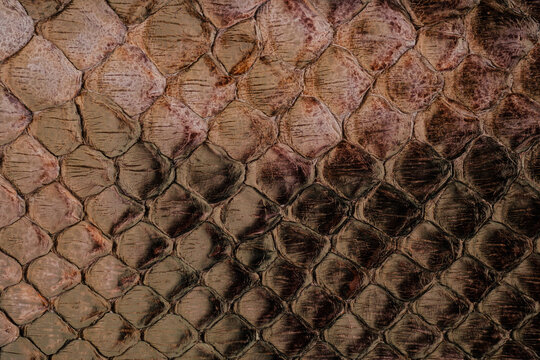Python skin leather texture with natural snakeskin scale pattern and glossy exotic surface