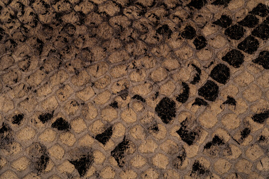 Brown reptile leather texture close up with natural snake scale pattern and dark spots