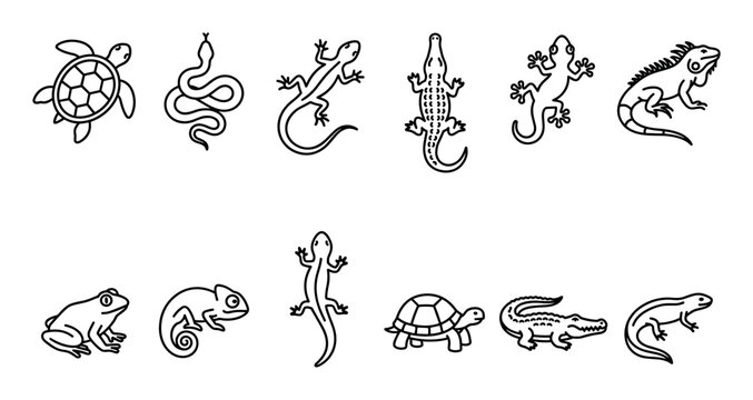 Various reptile and amphibian outline icons collection featuring diverse animal species such as snakes, lizards, turtles, and frogs, perfect for educational and design purposes.