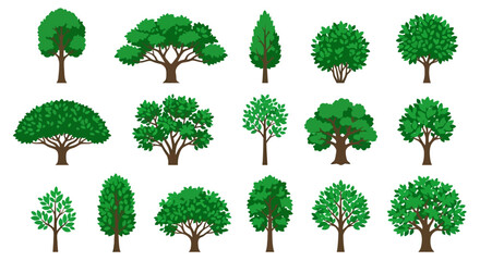 collection of green trees vector illustration on white background © Anupom