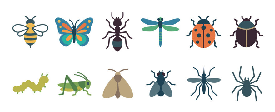 Various insects and bugs collection of colorful flat design vector illustrations, including a bee, butterfly, ant, ladybug, and spider, in a simple style.