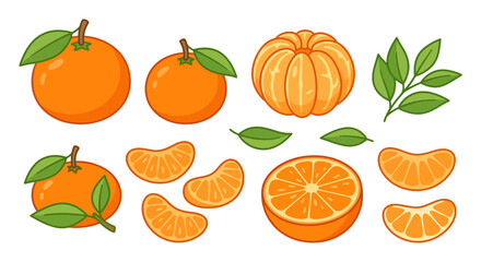 Obraz premium orange fruit set vector illustration with leaves and slices