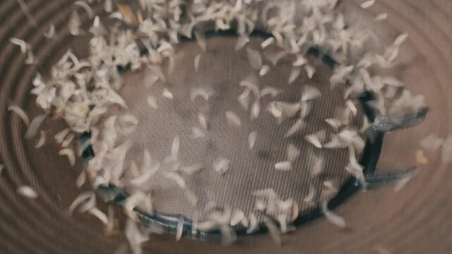 Small seeds vibrate and bounce on a subwoofer speaker cone surface during a sound audio experiment. Concept of cymatics, sound visualization, acoustic energy, and the physics of resonant motion
