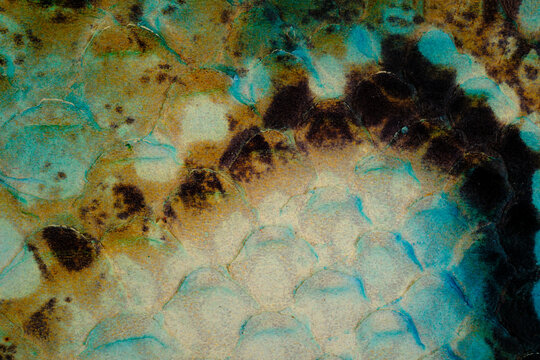 Turquoise reptile leather texture close up with glossy snake scale surface and vintage pattern